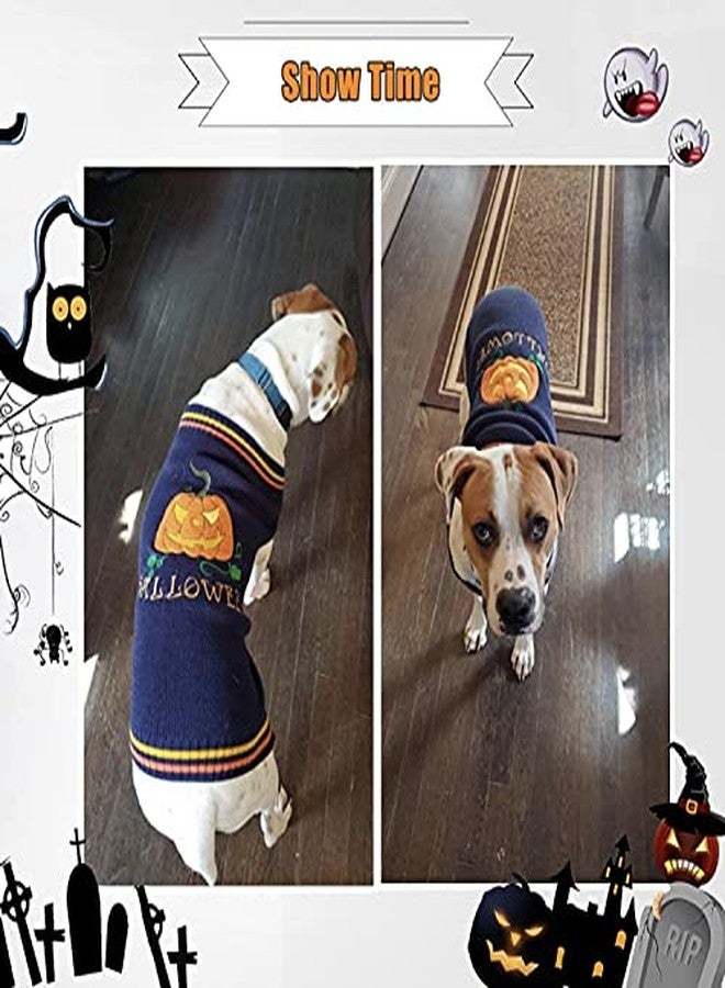 PETANGEL Halloween Small Dog Sweater | Turtleneck Sweater Pumpkin Pattern Knitwear Warm Pet Jumper Jacket Clothes for Maltese, Yorkie, Shih Tzu etc.(Size: M, Chest 38 cm, Back Length: 36 cm) - Image 4
